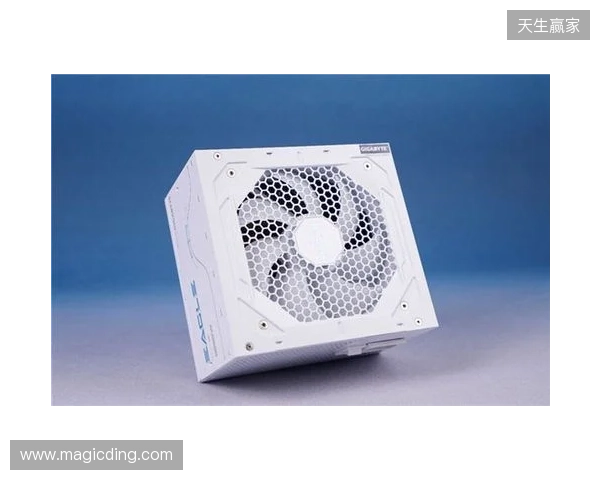 黑白双鹰，白金降临：技嘉猎鹰 冰猎鹰白金电源4月27日开售